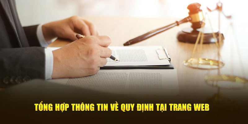 Tổng hợp thông tin về chính sách cơ bản tại trang web